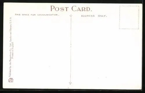 AK View on Ceylon Tea Estate