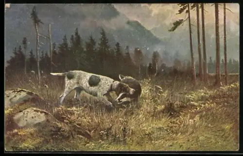 Künstler-AK M. Müller jun.: Jagdhund fängt einen Dachs