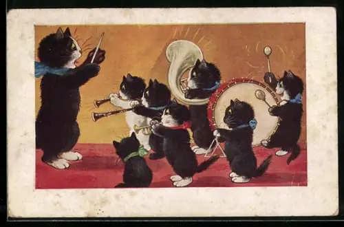 AK Katzenorchester mit Tuba und Pauke gibt ein Konzert