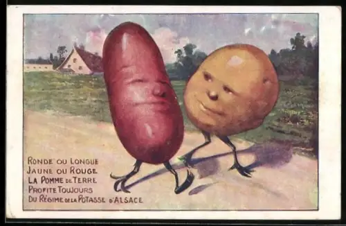 AK Zwei Kartoffeln unterhalten sich, Reklame für La Potasse d`Alsace, Metamorphose