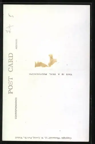 AK Wolverhampton, Civic Hall