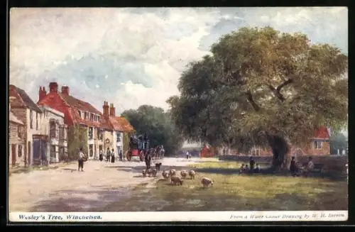 Künstler-AK sign. W. H. Borrow: Winchelsea, Wesley`s Tree