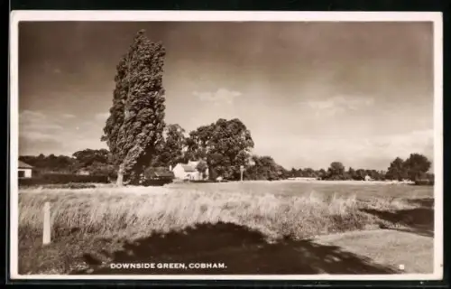 AK Cobham, Downside Green