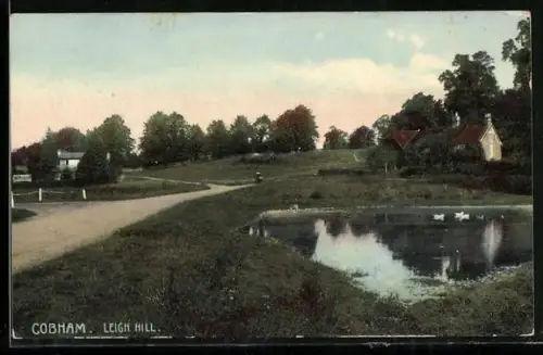 AK Cobham, Leigh Hill