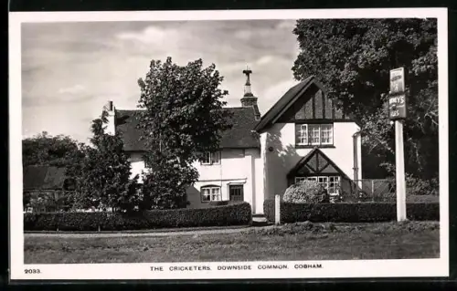 AK Cobham, The Cricketers, Downside Common