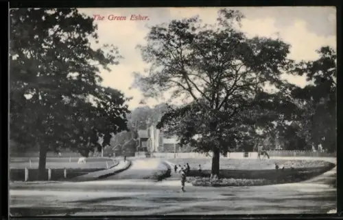 AK Esher, The Green