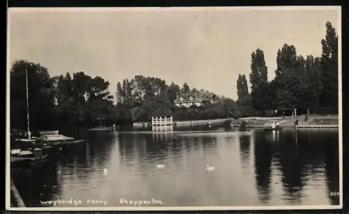 AK Shepperton, Weybridge Ferry