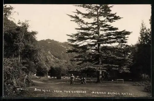 AK Boxhill, Burford Bridge Hotel, From the Gardens
