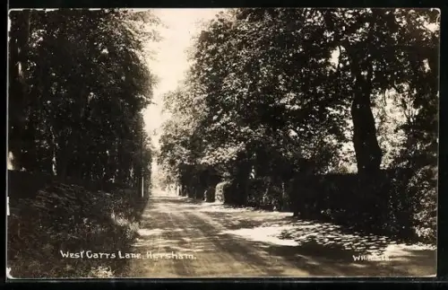 AK Hersham, West Carrs Lane