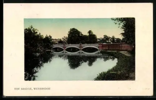 AK Weybridge, The Bridge