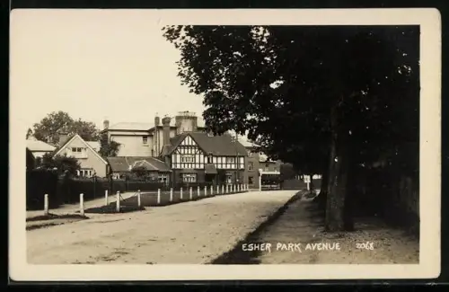 AK Esher, Park Avenue