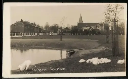 AK Hersham, The Green