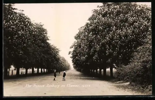 AK Sunbury-on-Thames, The Avenue