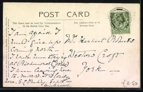 Künstler-AK Haslemere, Strassenpartie