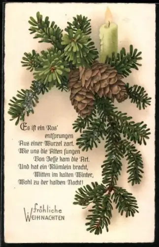 AK Tannenzweig mit Gedicht Es ist ein Ros entsprungen
