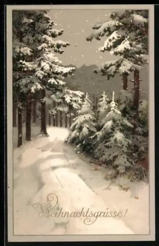 AK Verschneiter Weg im Wald, Weihnachtsgrüsse