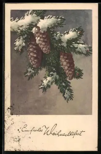 AK Verschneiter Tannenzweig mit Tannenzapfen
