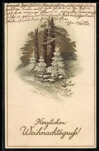 Präge-AK Idyllische Winterlandschaft, Weihnachtsgrüsse