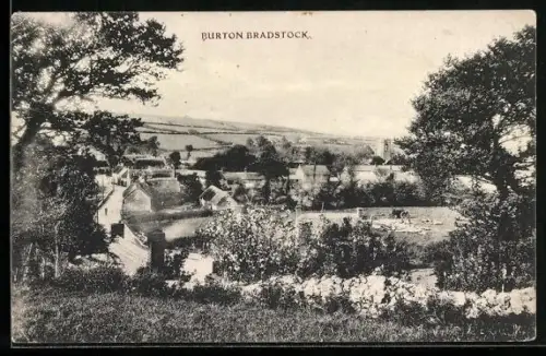 AK Burton Bradstock, Panoramic View