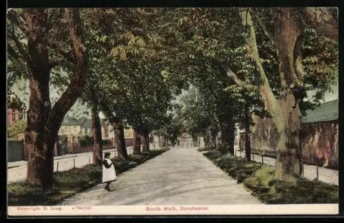 AK Dorchester, South Walk