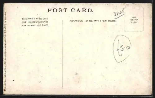 AK Race Course, Impressions