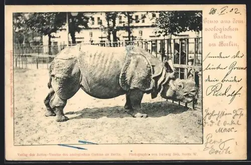 AK Berlin, Nashorn im Zoologischen Garten