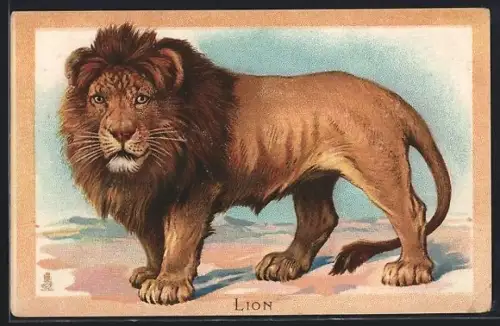Präge-AK Löwe in Wüstenlandschaft, Portrait