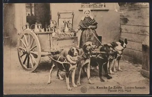 AK Knocke-Le-Zoute, Laitière flamande