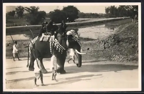 AK Verschleierte Frauen auf geschmücktem Elefant, Begleiter mit Stangen