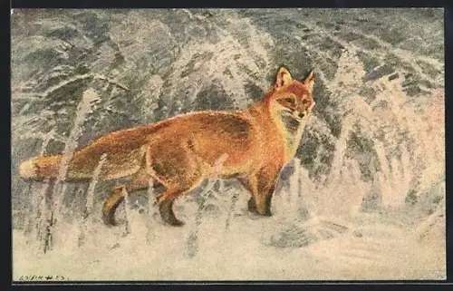 Künstler-AK Fuchs steht im Schnee