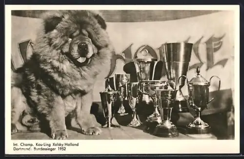 AK Oberstdorf, Gaststätte Chow-Cow-Hütte am Freibergersee, Champion Kou-Ling mit Pokalen