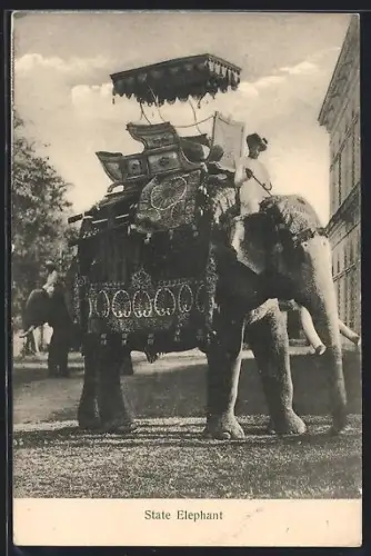 AK Elefant mit Reiter und Sänfte