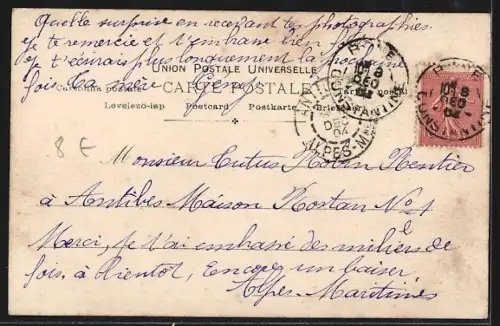 AK Schwarzer Irish Setter