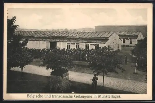 AK Munsterlager, Belgische und französische Kriegsgefangene