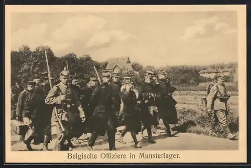 AK Munsterlager, Kriegsgefangene belgische Offiziere
