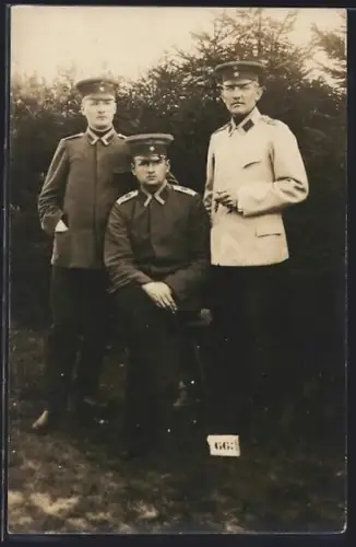 Foto-AK Drei Soldaten in Uniformen vor Nadelbäumen