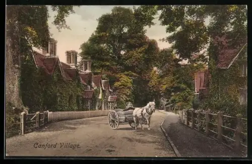 AK Canford, Canford Village