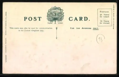 AK Carnarvon, The Castle