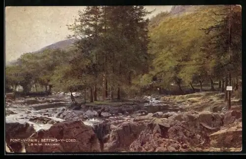 AK Bettws-y-Coed, Forest View