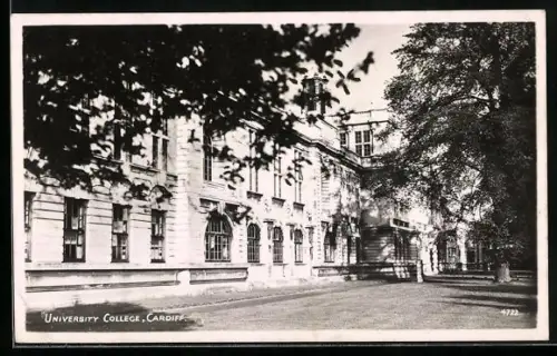 AK Cardiff, University College