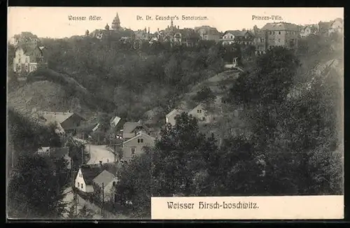 AK Dresden-Loschwitz, Weisser Adler, Dr. Teuscher`s Sanatorium, Prinzen-Villa