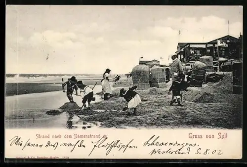 AK Sylt, Strand nach dem Damenstrand
