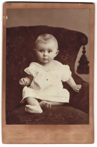 Fotografie H.R. Horn, Sonneberg, Lulu auf einem Sessel