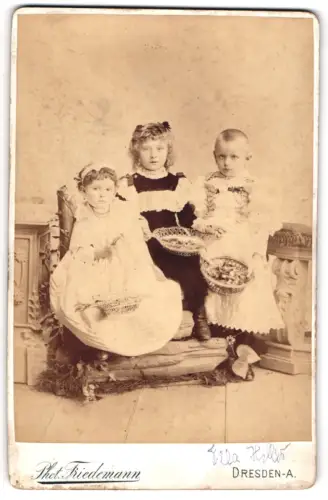 Fotografie Phot. Friedemann, Dresden, Prager Strasse 70, Ella Hiller mit zwei anderen Kindern