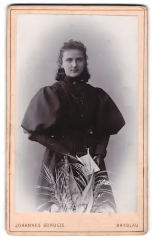 Fotografie Johannes Schulze, Breslau, Matthias-Platz 13, Dame mit elegantem Kleid