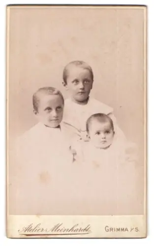Fotografie Atelier Albert Meinhardt, Grimma, Frauenstrasse 222, Drei Kinder in heller Kleidung