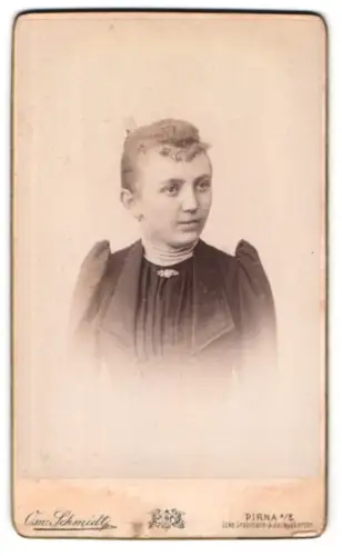 Fotografie Osw. Schmidt, Pirna, Grohmannstrasse, Porträt einer Frau