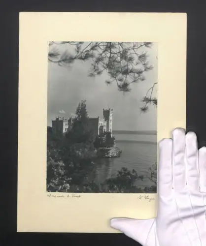 Fotografie W. Seeger, Ansicht Triest, Blick nach Schloss Miramar