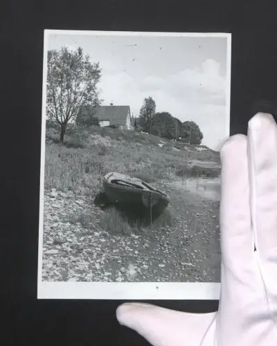 Fotografie Albin Müller, Hamburg, Motiv: Frühling am Deich