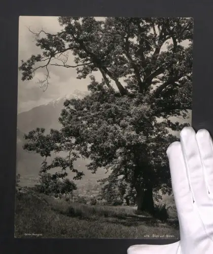 Fotografie Photoglob, Ansicht Meran, Blcik vom Berg auf die Stadt, Grossformat 21 x 27cm